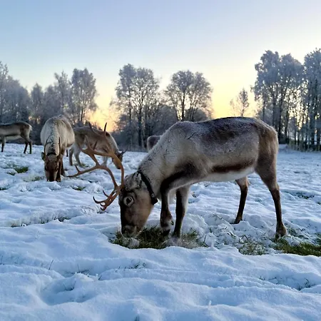 Kantolammen Moekki 66m2,puusauna Ja Palju-extra * Kuusamo